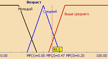 Рисунок 4. Описание лингвистической переменной "Возраст"